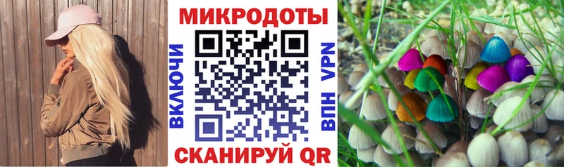 Купить где  Киреевск  Псилоцибиновые грибы мицелий 